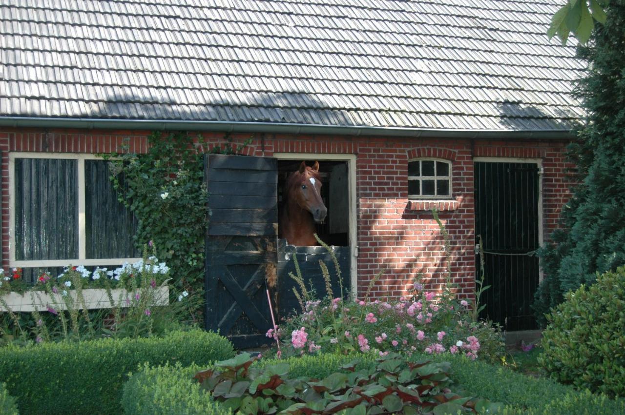 Erve Het Roolvink Boerderij Appartementen 40-50 M2 Enschede Exterior photo