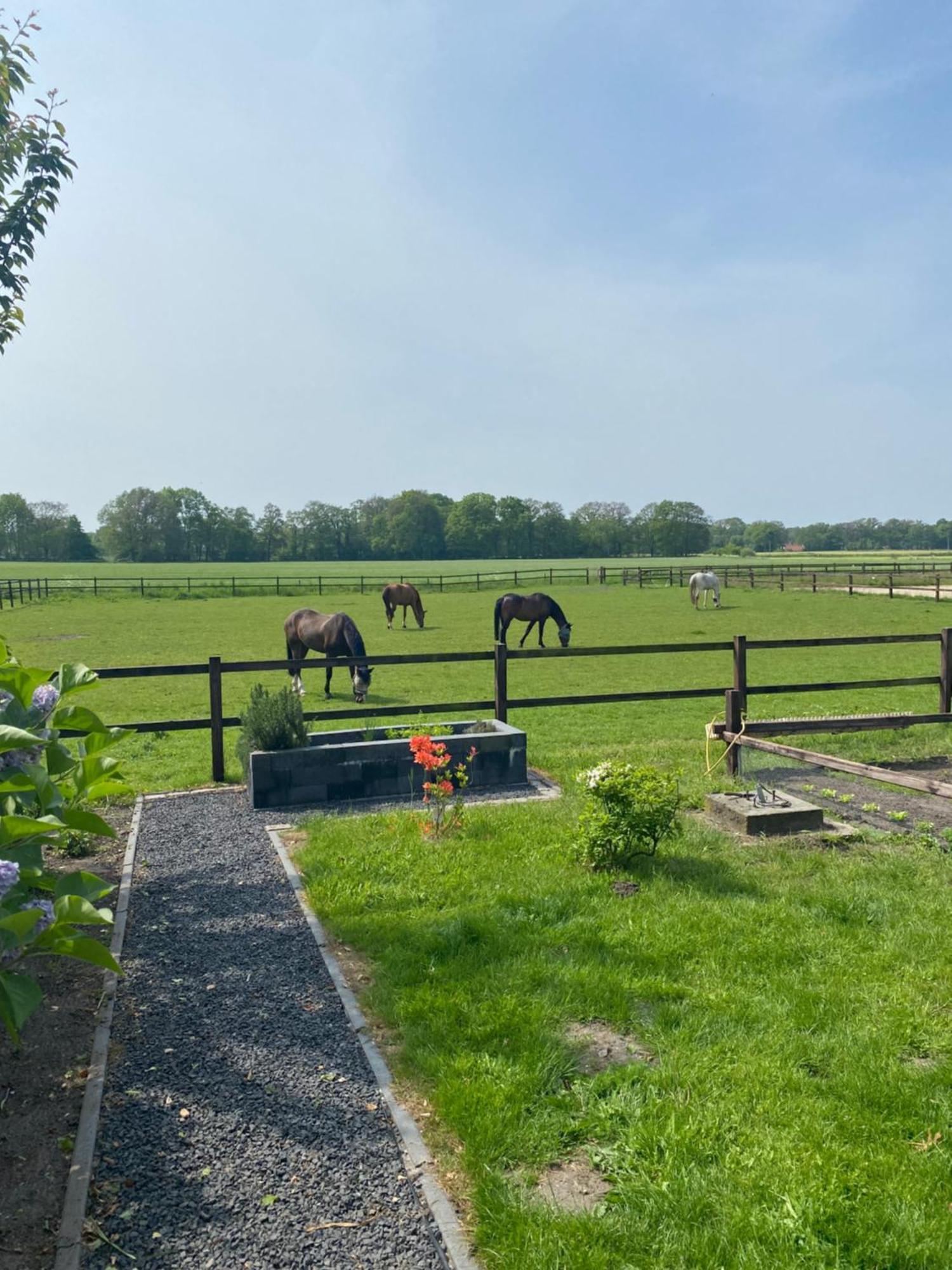Erve Het Roolvink Boerderij Appartementen 40-50 M2 Enschede Exterior photo